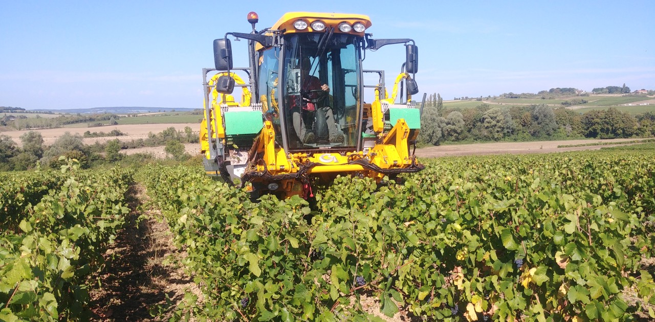 Les Vendanges Sont Bien Lanc Es Menetou Salon Rcf En Berry