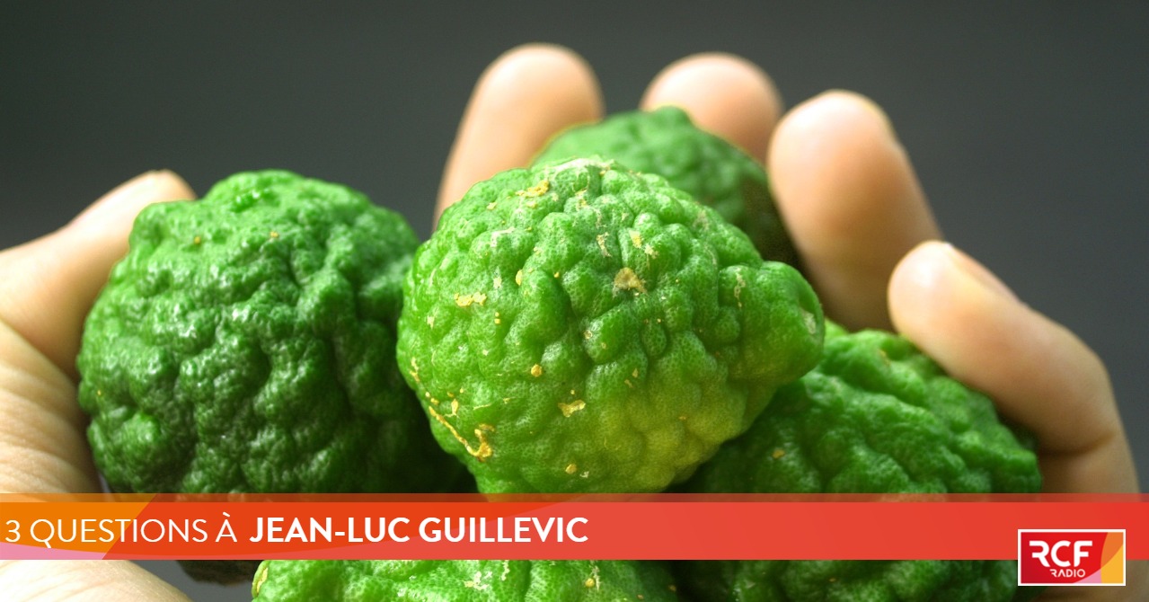 La Bergamote provient d'abord d'un fruit