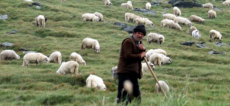 Les bergers sont à l'époque les petits par excellence, considérés comme impurs ©Wikimedia Common