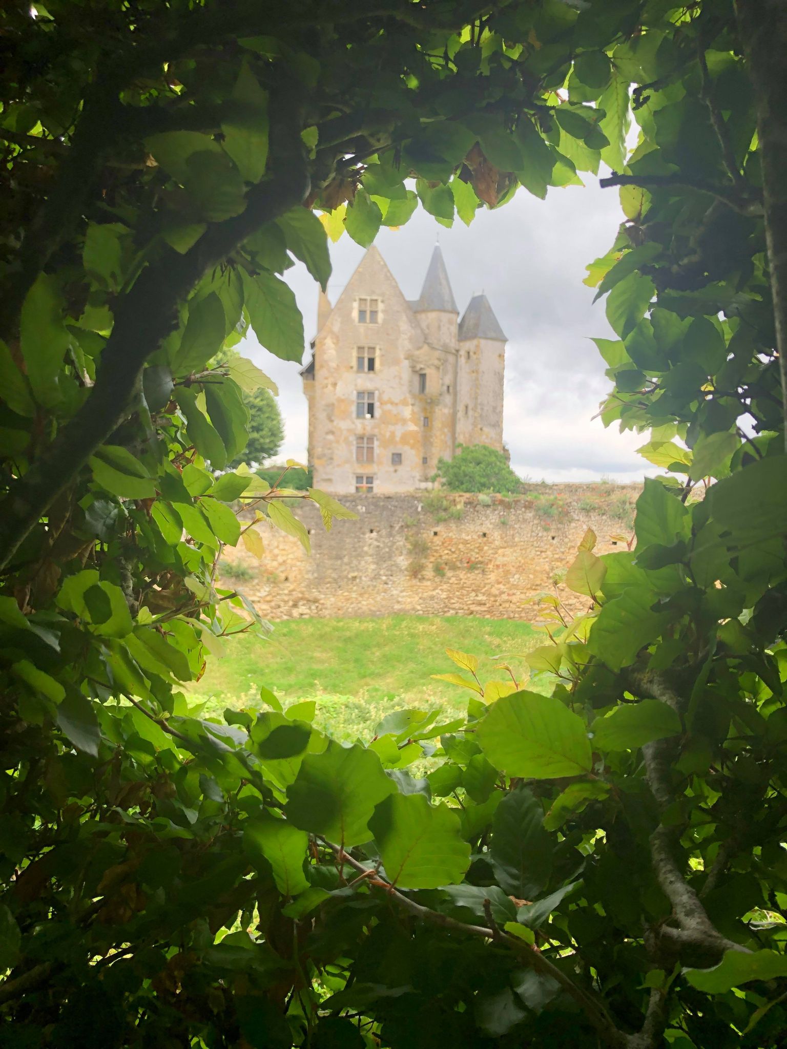Vue du donjon depuis le tunnel de hêtres © RCF Sarthe (Auberi Maitrot)