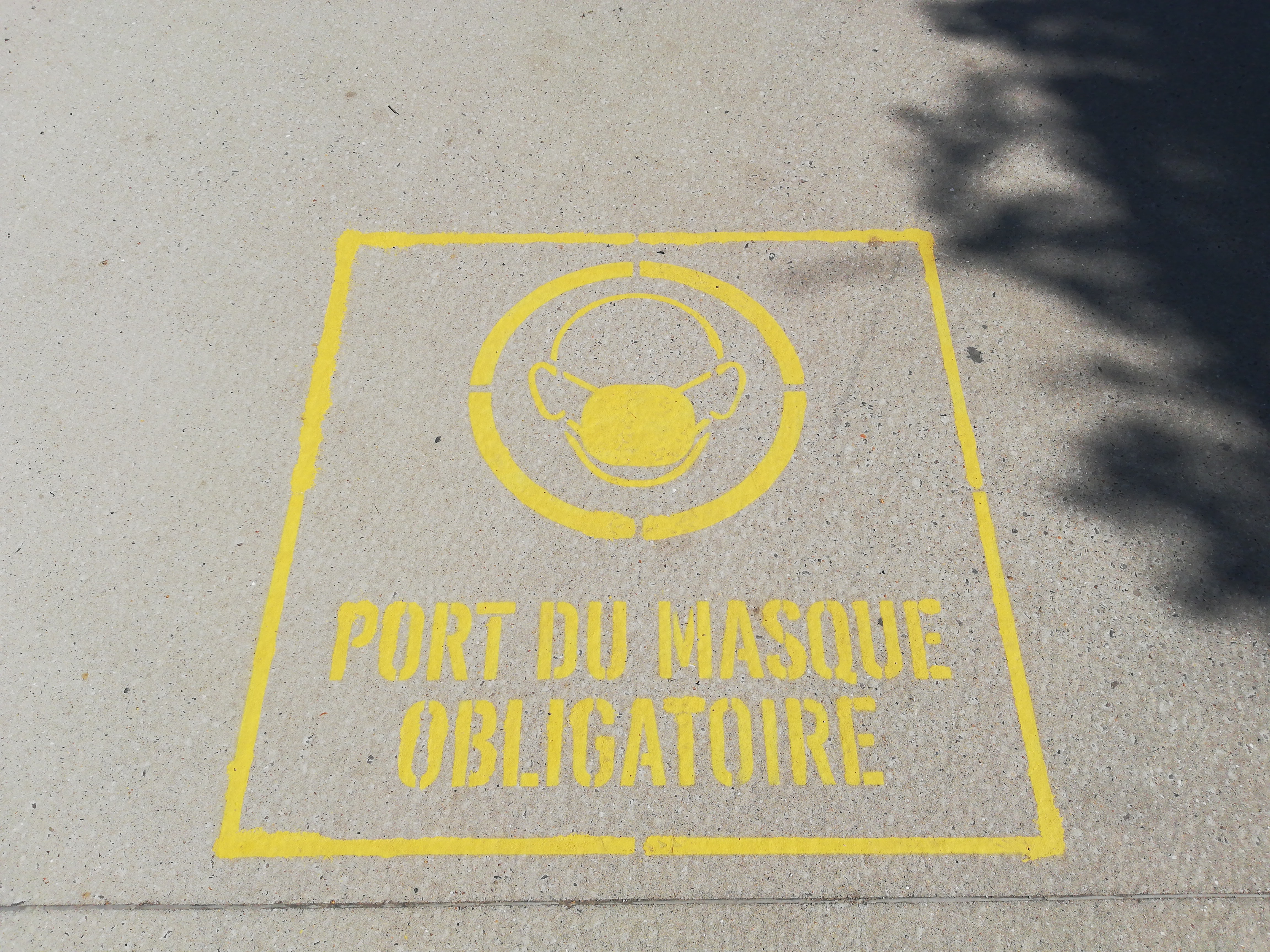 Photo d'illustration La coccinelle on Unsplash