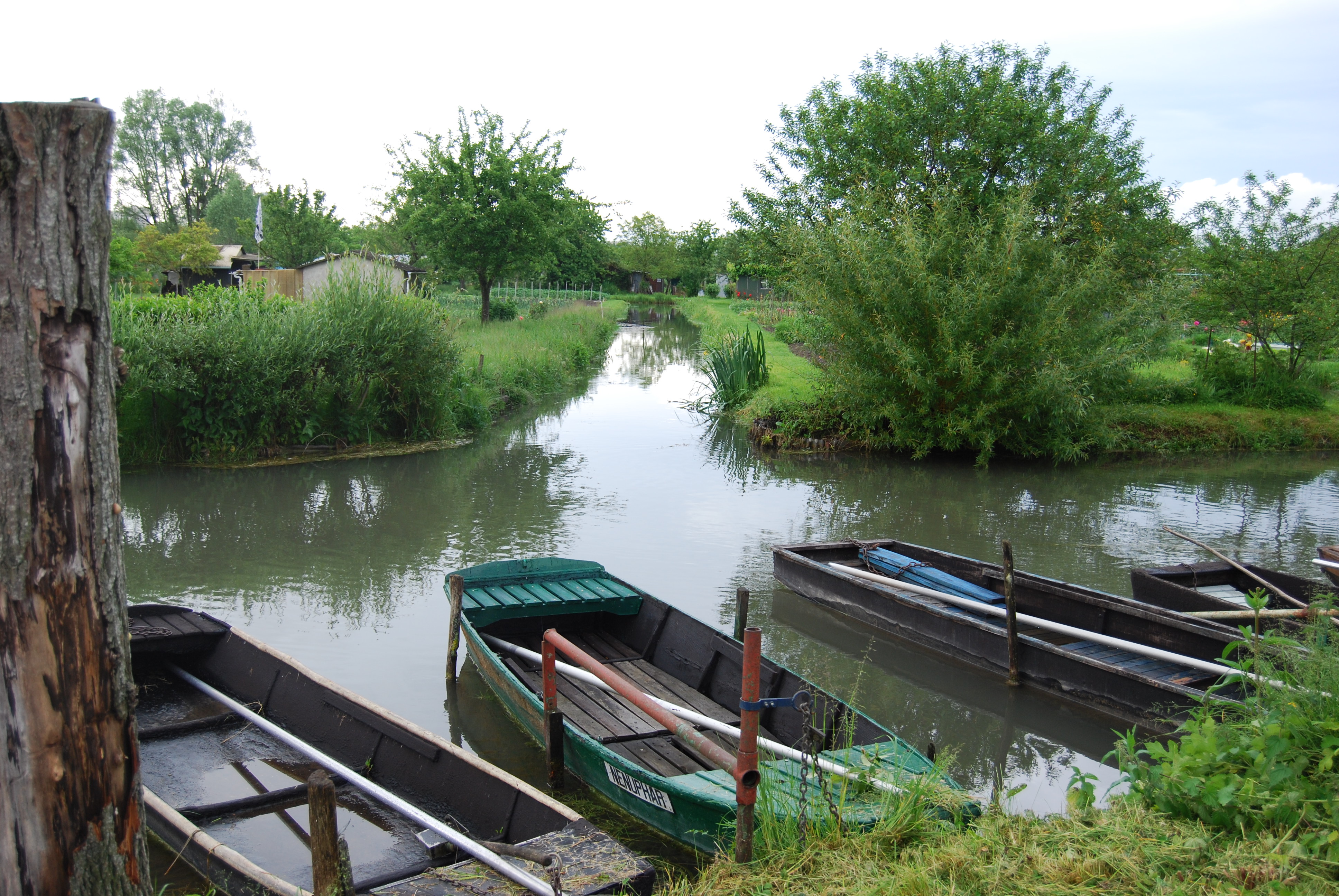 Les traditionnelles balades en barques sont de retour © RCF - Florent Sonzogni.