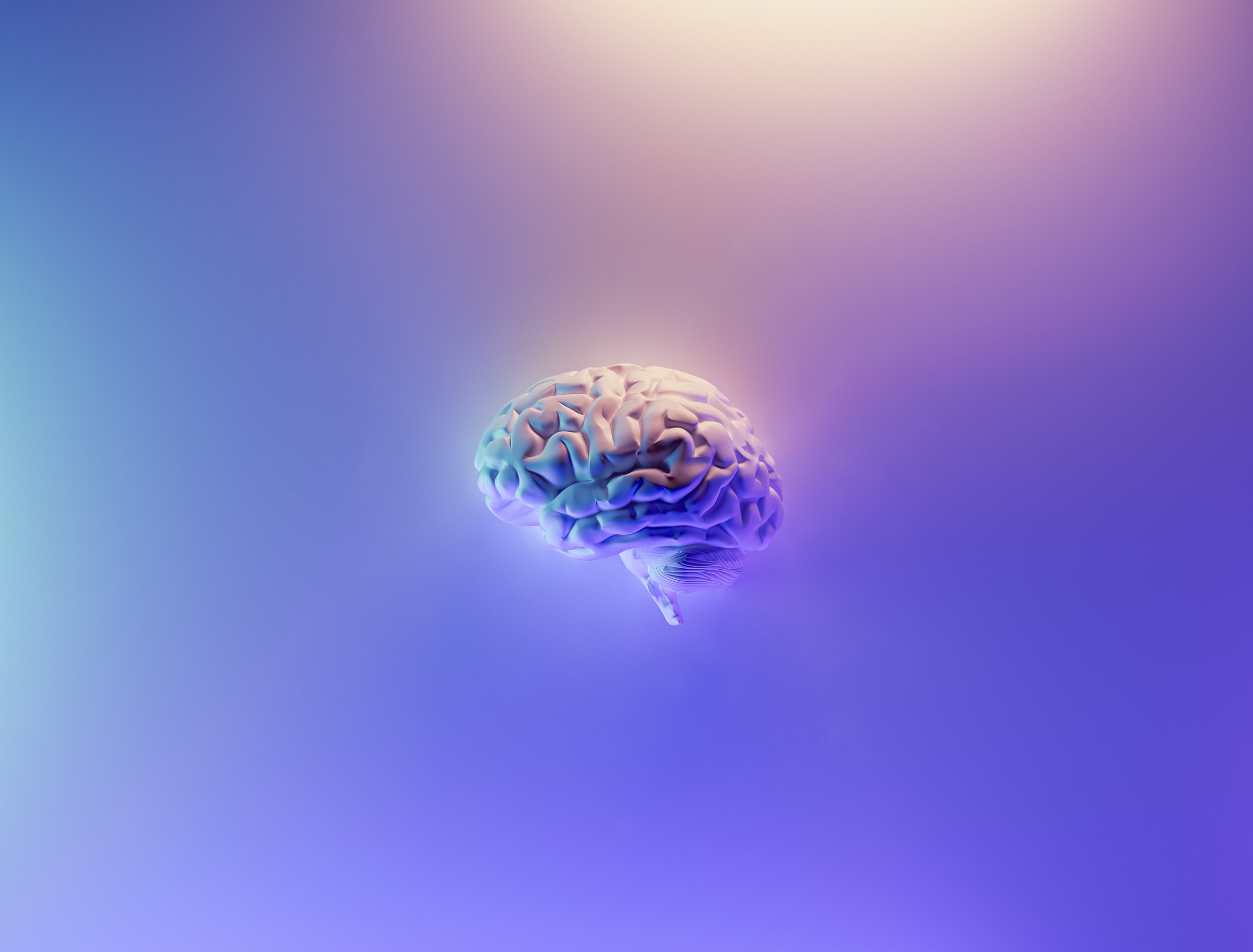 cerveau illustré - © Fakurian Design (Unsplash)