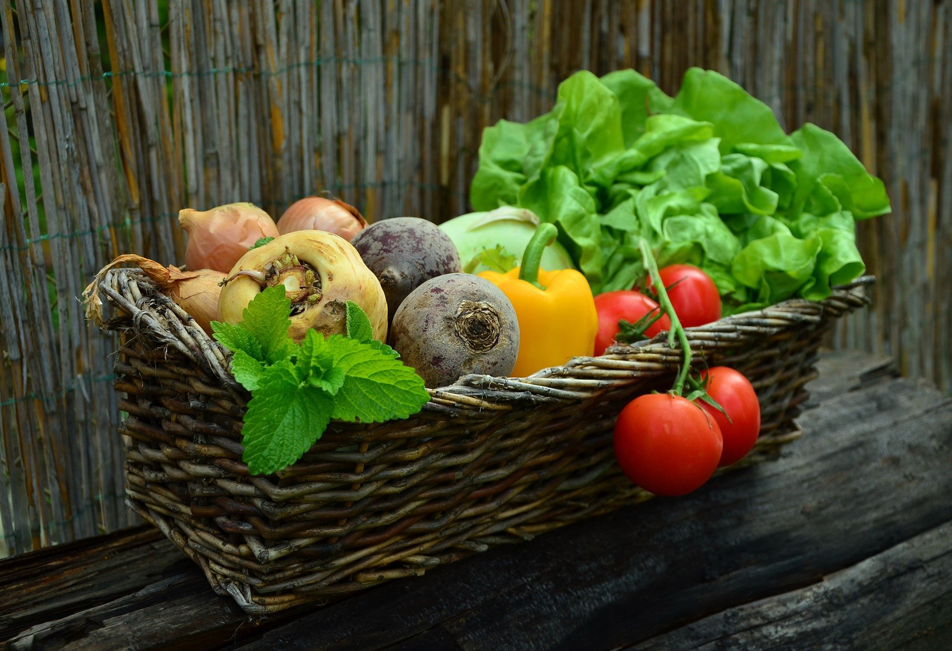 Les paniers de légumes sont à 3€ pour les familles précaires 