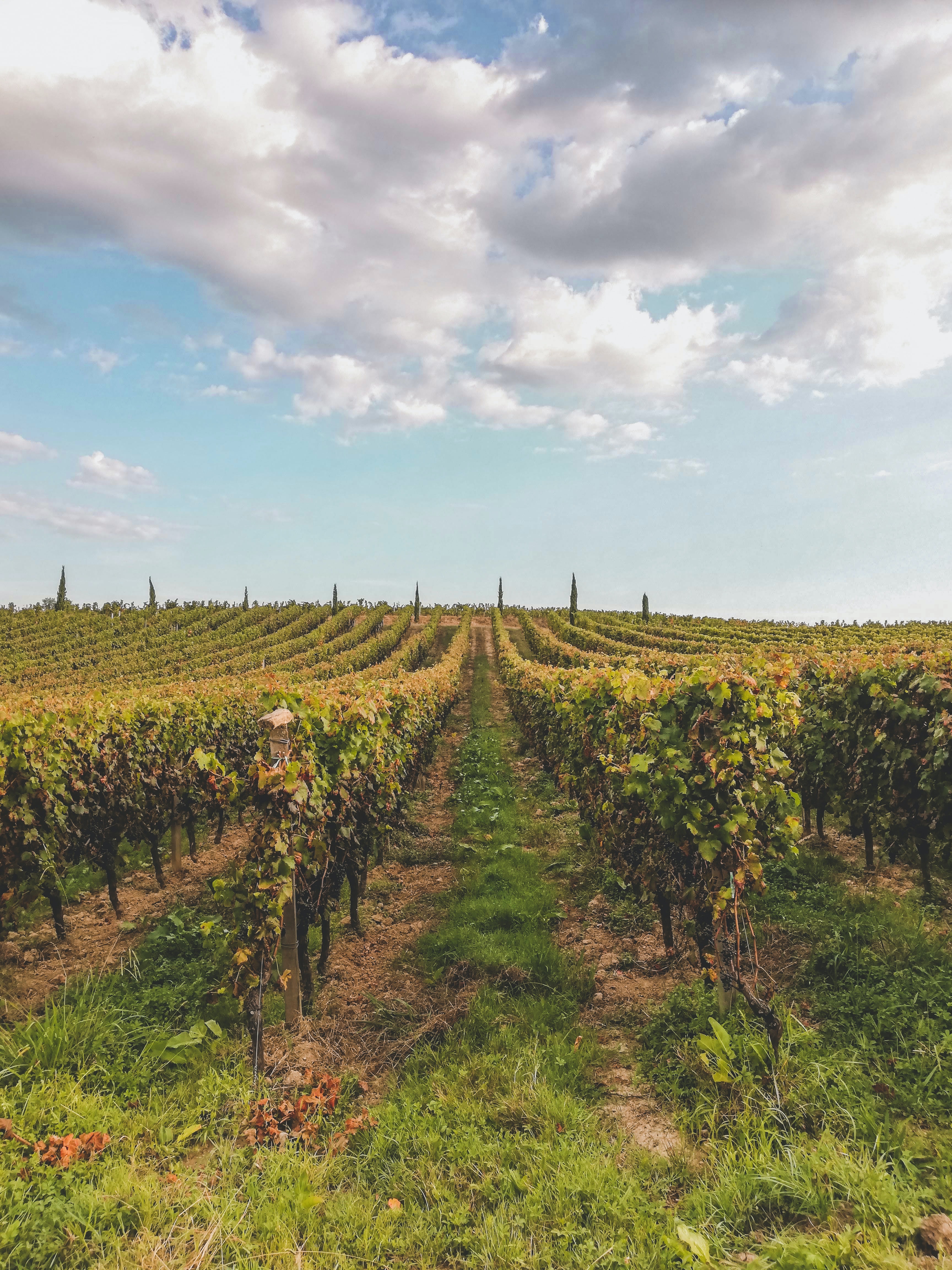 Photo by Árpád Czapp on Unsplash