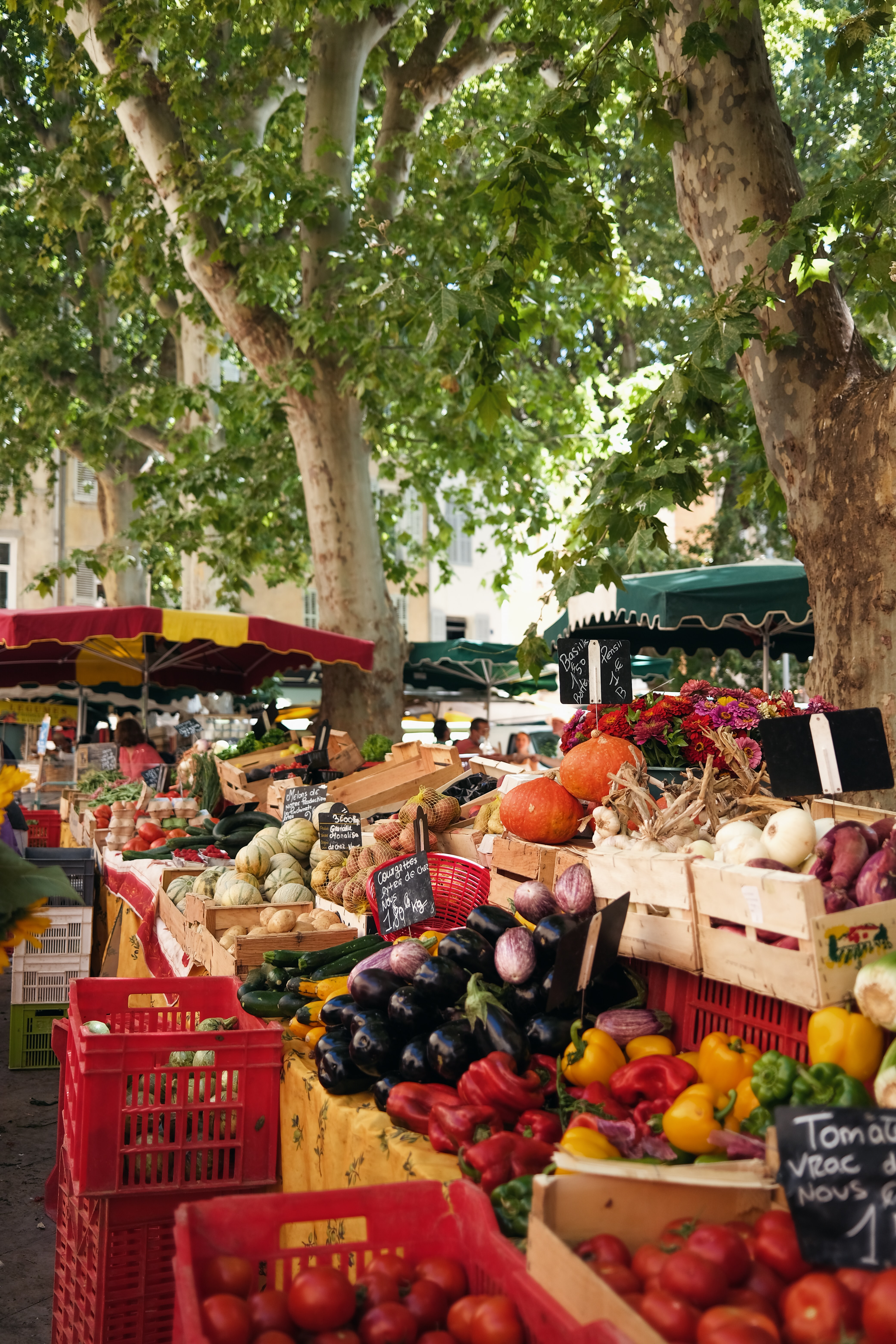 Photo d'illustration des fruits et légumes de Provence Photo by <a href="https://unsplash.com/@mackiec?utm_source=unsplash&utm_medium=referral&utm_content=creditCopyText">Christian Mackie</a> on <a href="https://unsplash.com/s/photos/provence?utm_source=unsplash&utm_medium=referral&utm_content=creditCopyText">Unsplash</a>
