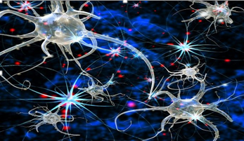 neurones © ma collection privée