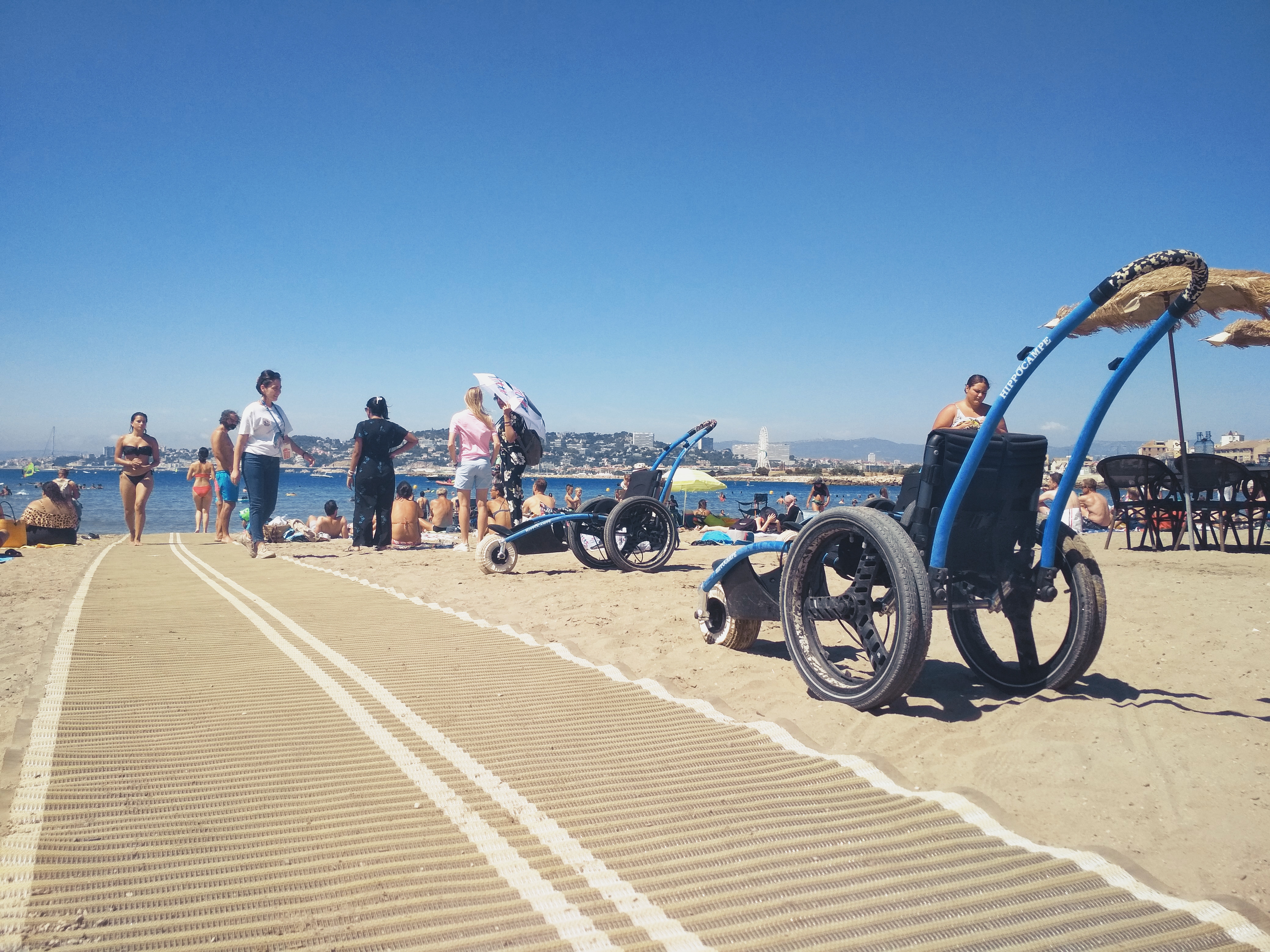 4 hippocampes sont mis à disposition sur la plage de Marseille