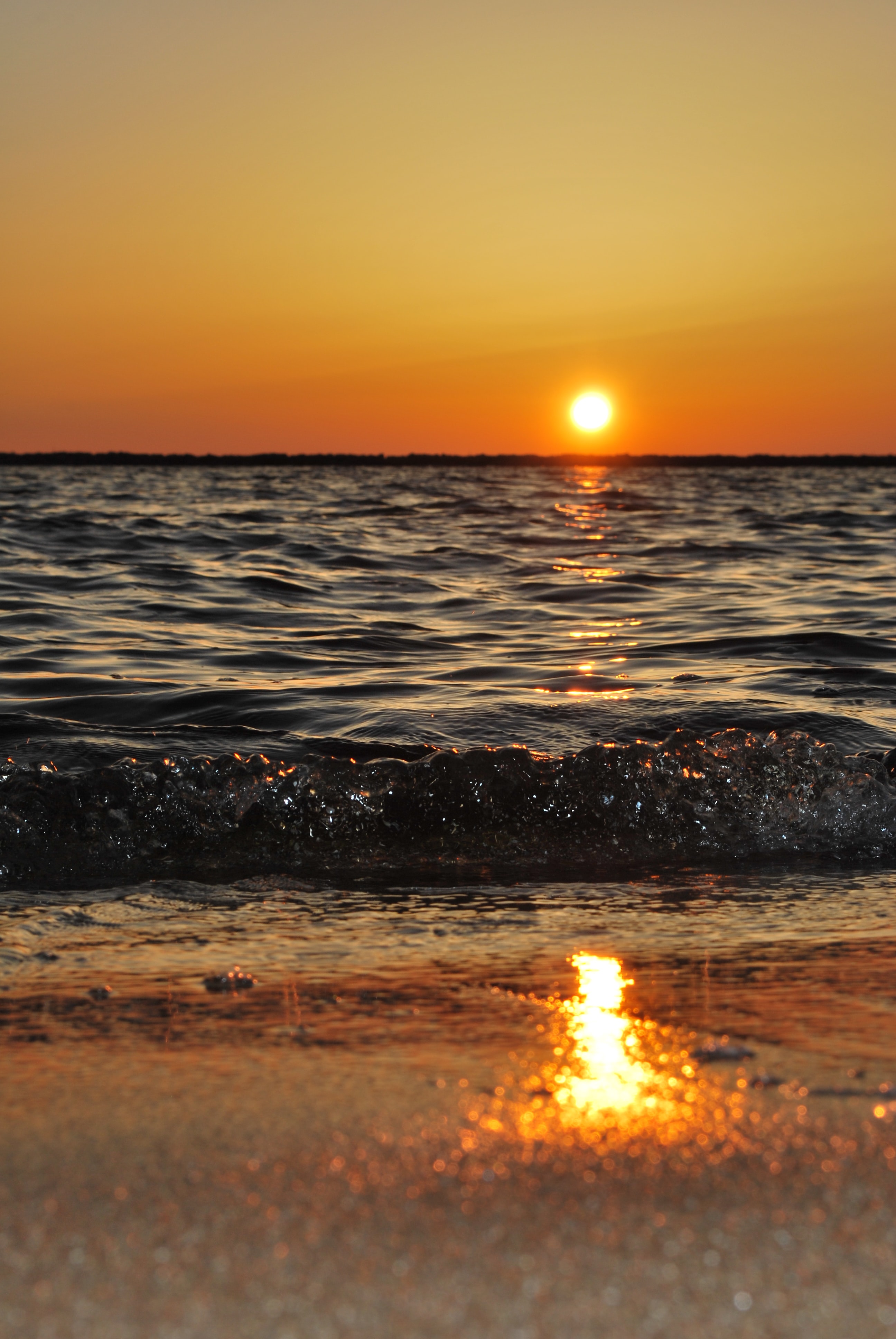 Sandre Cook on Unsplash