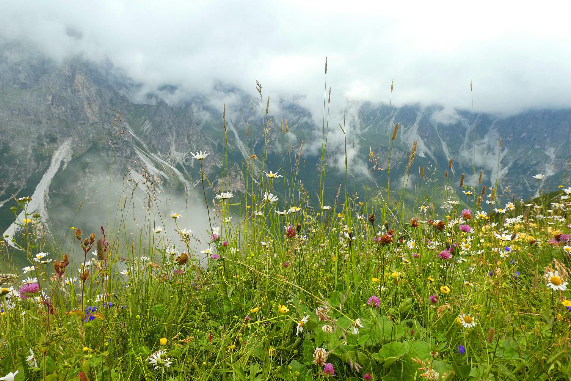 La Région compte aujourd'hui plus de 260 sites Natura 2000. ©Pixabay