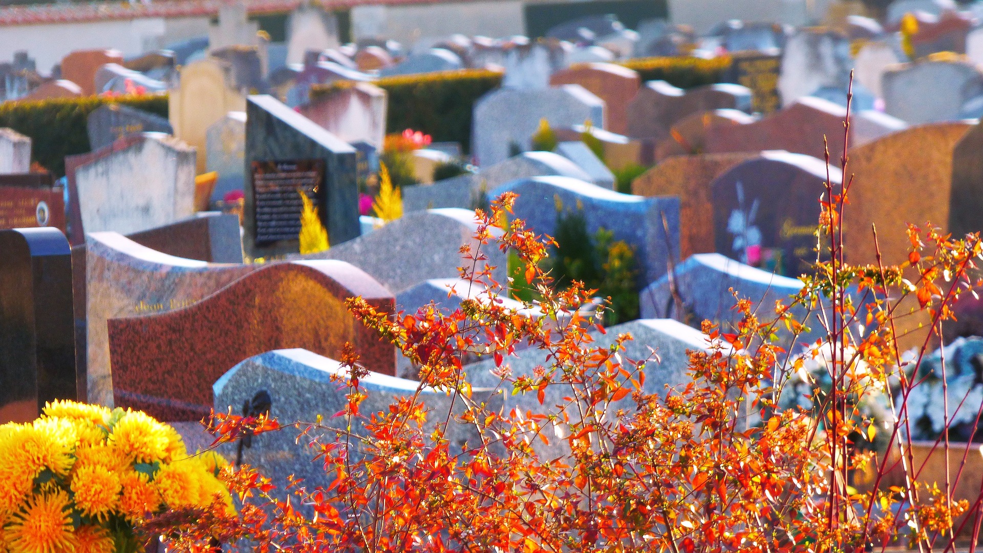 Un cimetière à la Toussaint - Image par khalid akayousse de Pixabay 