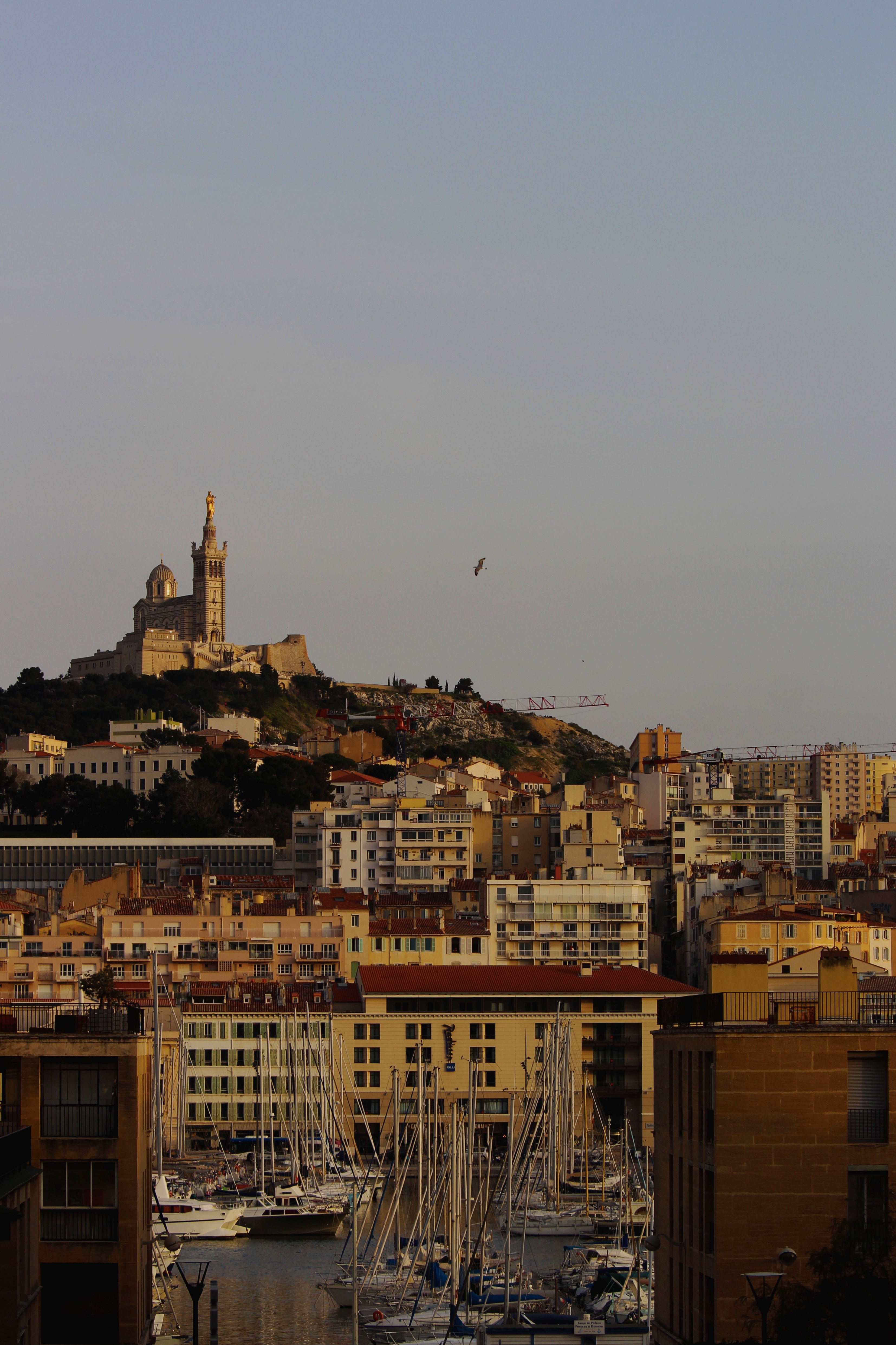Serinus - Marseille, terre de refuge pour les Arméniens