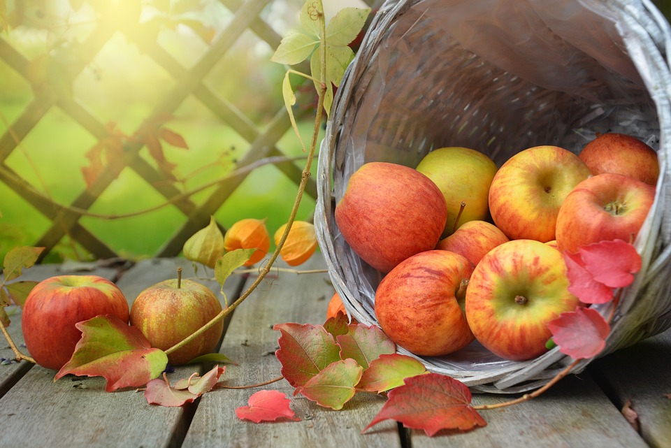 pommes © pixabay