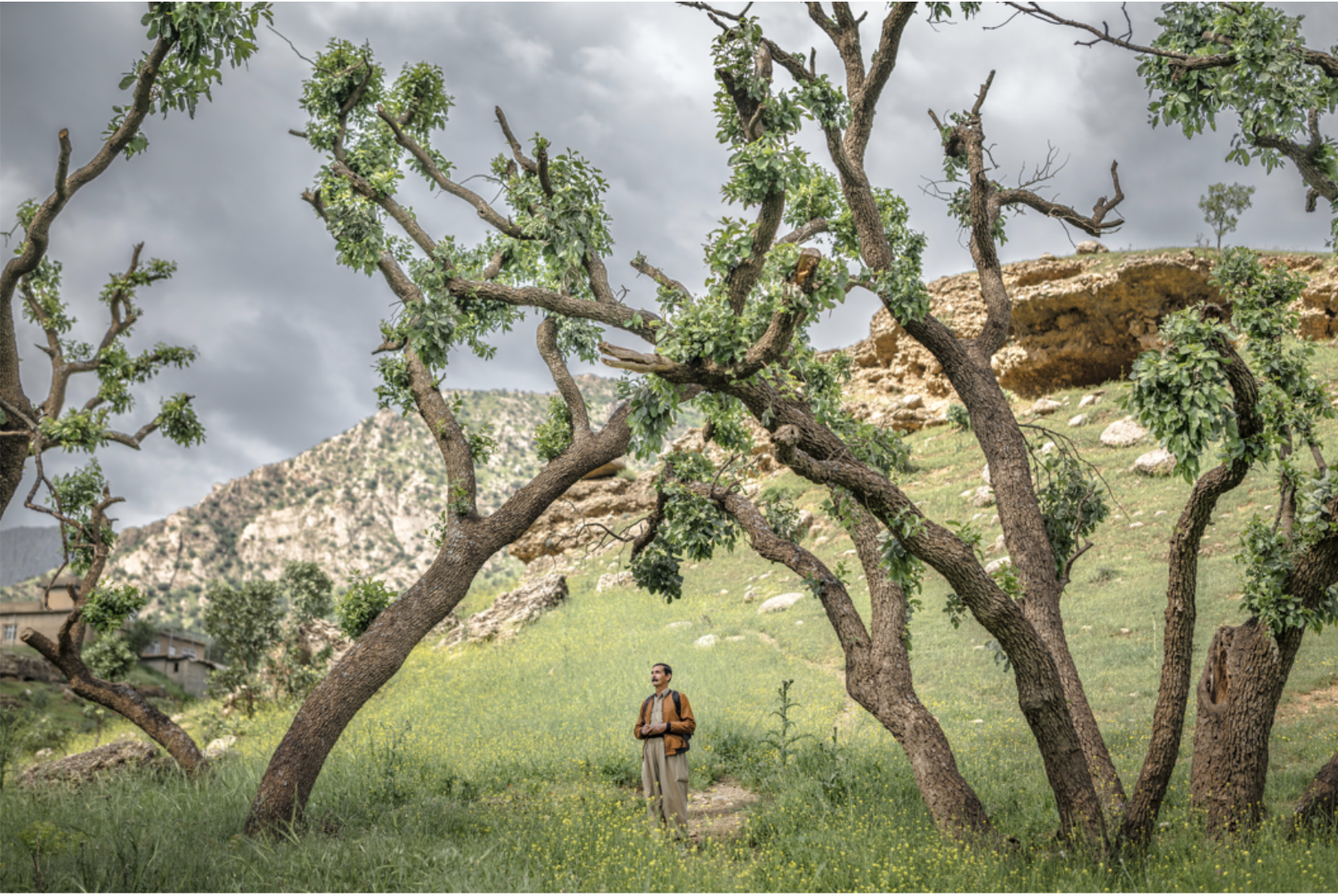 Photo tirée de la série « Light Between Mountains » © Emily Garthwaite 