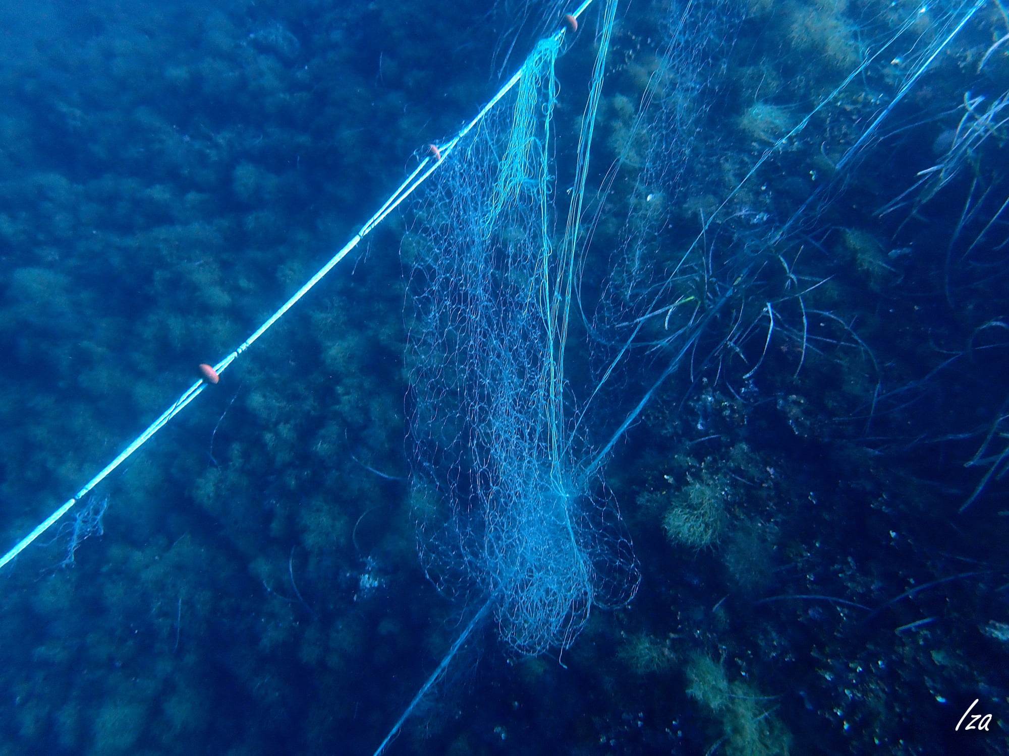 Un filet de pêche sur des coraux à Nice - Photo Iza