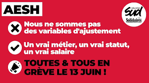 Plus de 130 000 AESH, pour 80 000 équivalents temps pleins travaillés, accompagnent actuellement 430 000 enfants, selon les chiffres du ministère publiés à la rentrée de septembre 2022.