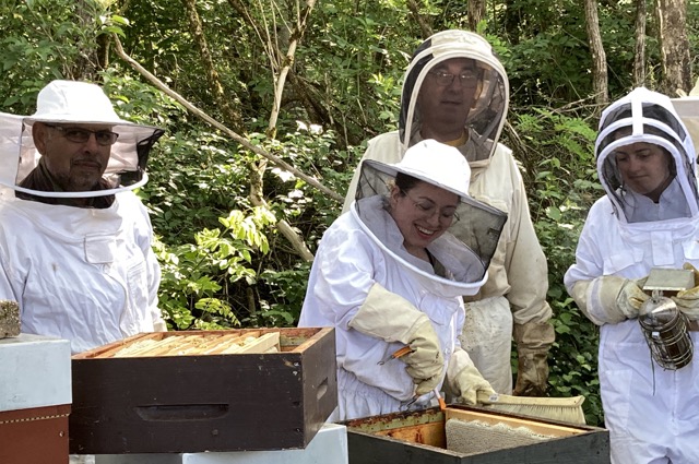 Apprentis apiculteurs © RCF Lorraine Meuse