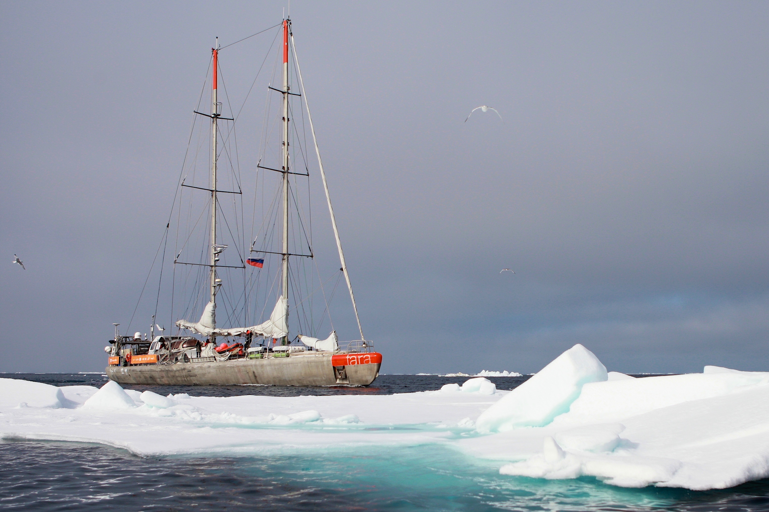 Les expéditions dans les régions polaires ont particulièrement "marqué" François Aurat © A.DeniaudGarcia - TaraExpeditions