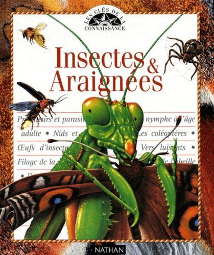 Album Insectes et Araignées - La Grande Imagerie Fleurus