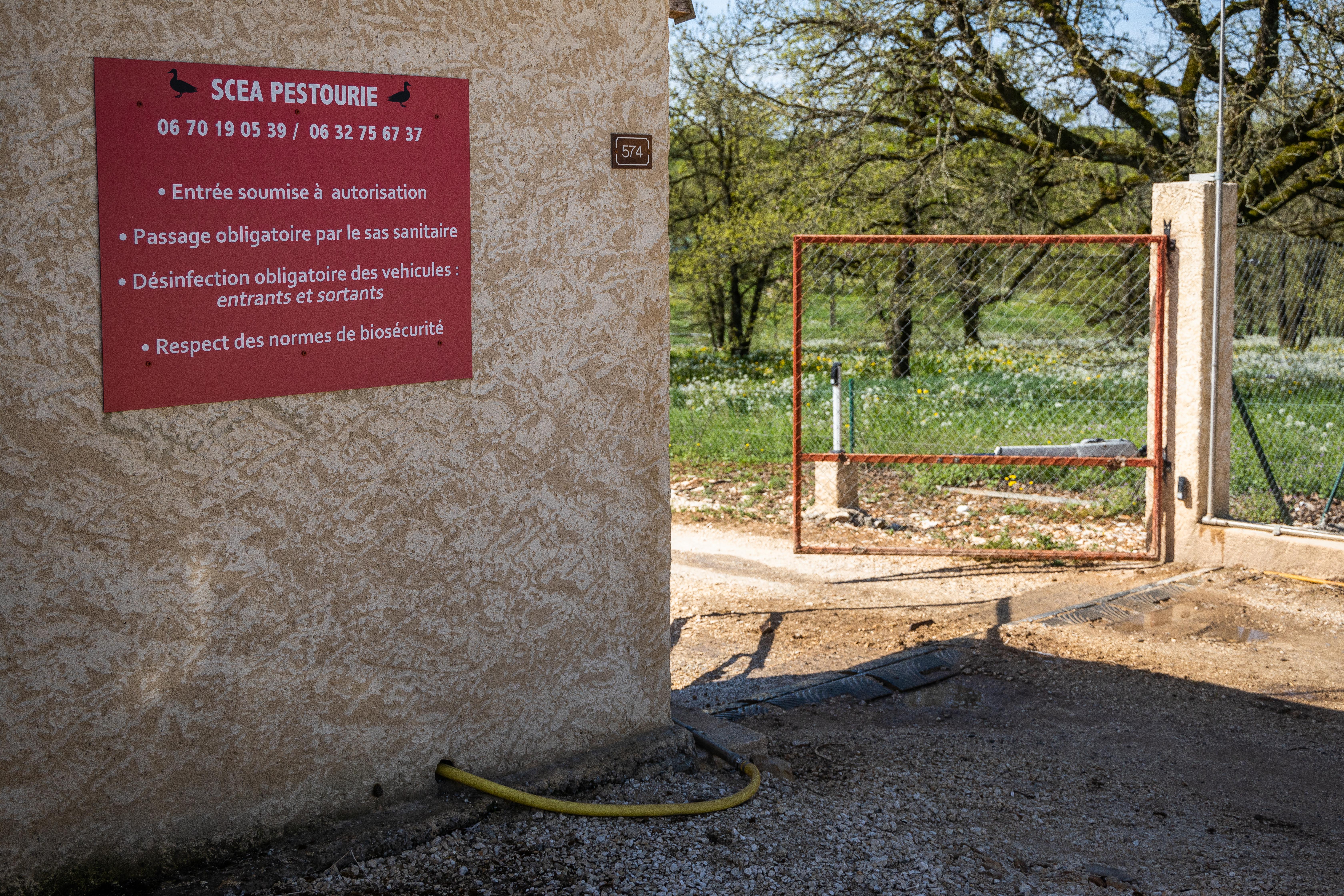 Site d élevage de volaille touché par la grippe aviaire en Dordogne. / © Yohan Bonnet by Hans Lucas