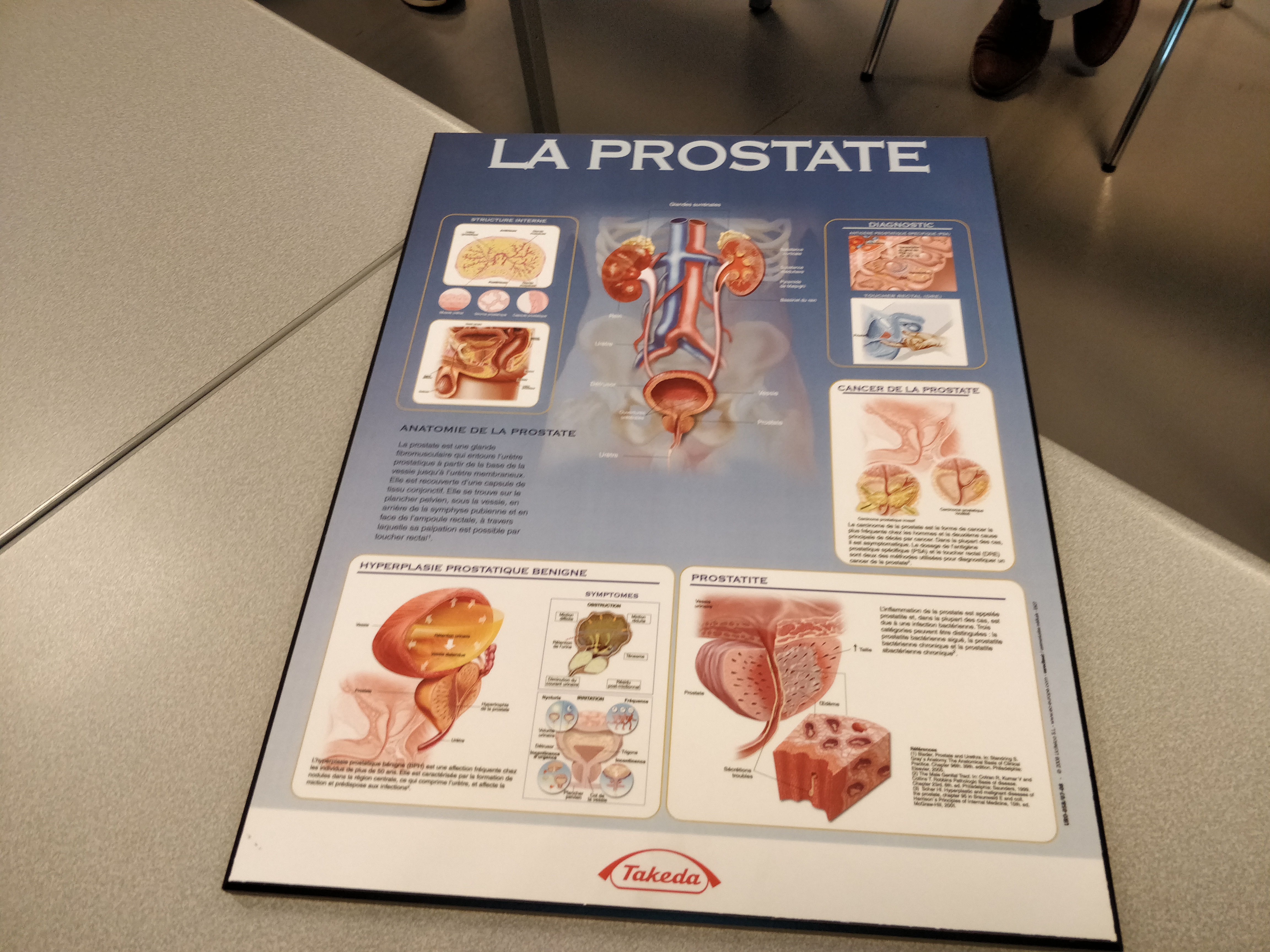 Un schéma de la prostate © RCF - Guillaume Martin-Deguéret.