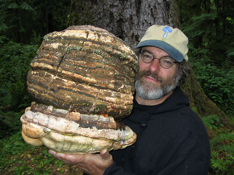 paul stamets © Par Dusty Yao-Stamets — Personal correspondence, CC BY 3.0, https://commons.wikimedia.org/w/index.php?curid=3785848