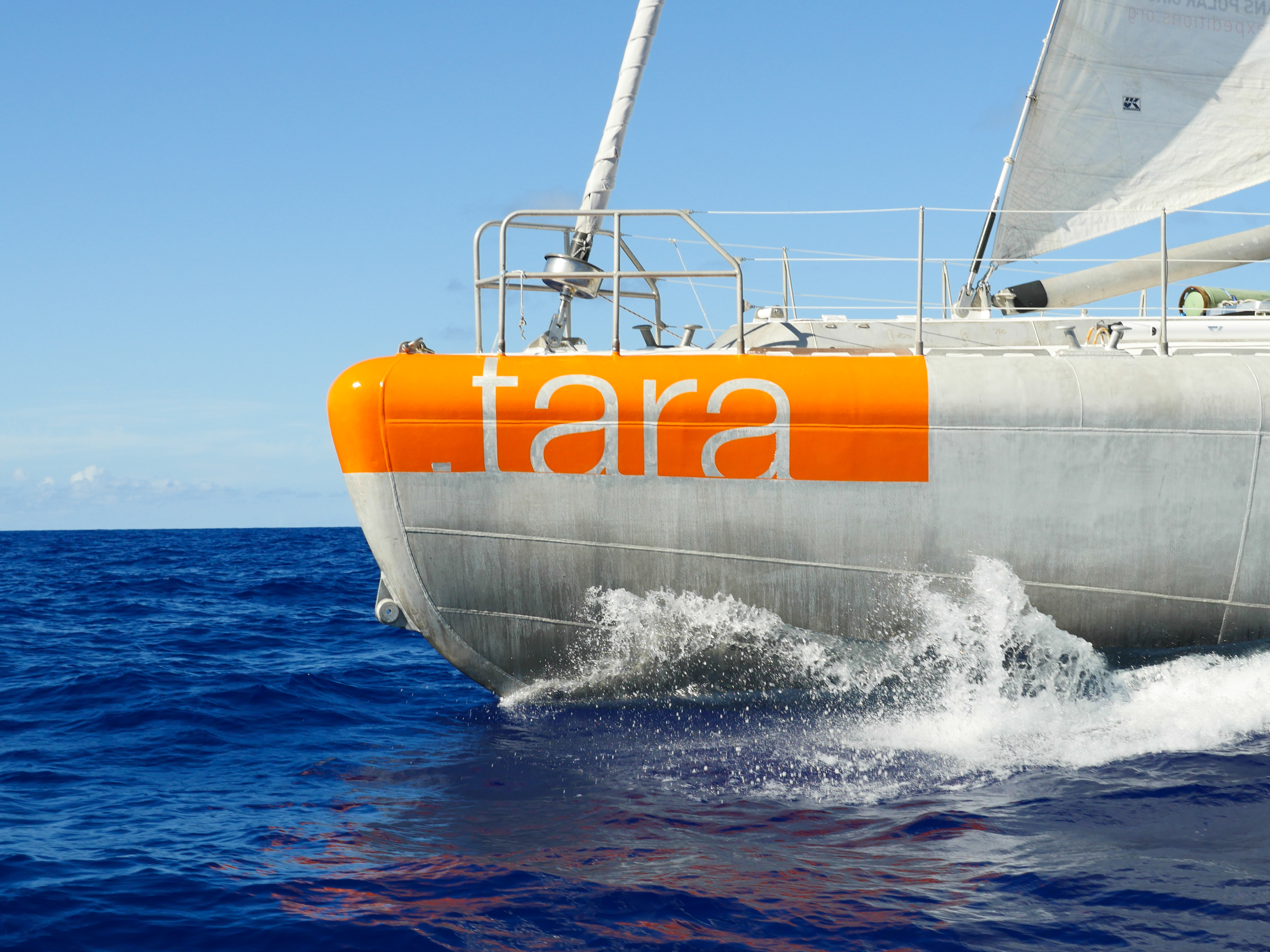 Près de 14 000 miles nautiques au programme de cette expédition © Maeva Bardy - Fondation Tara Ocean