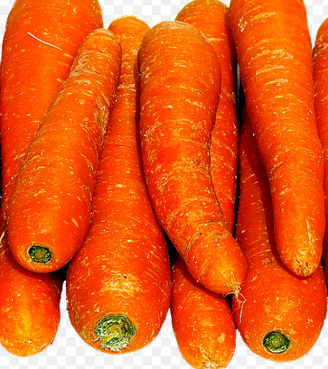 carotte © pixabay