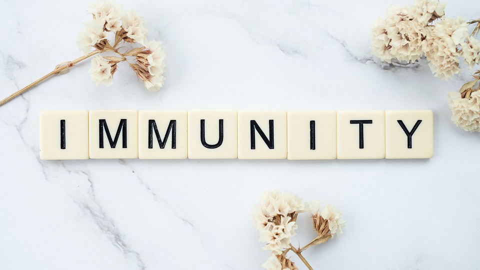 immunité © pixabay