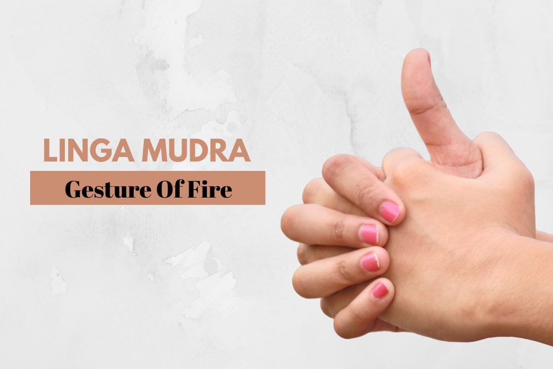 mudra linga © collection personnelle