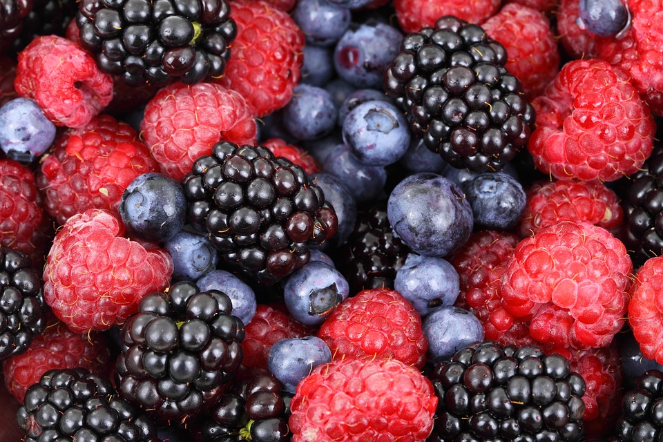 berries © pixabay