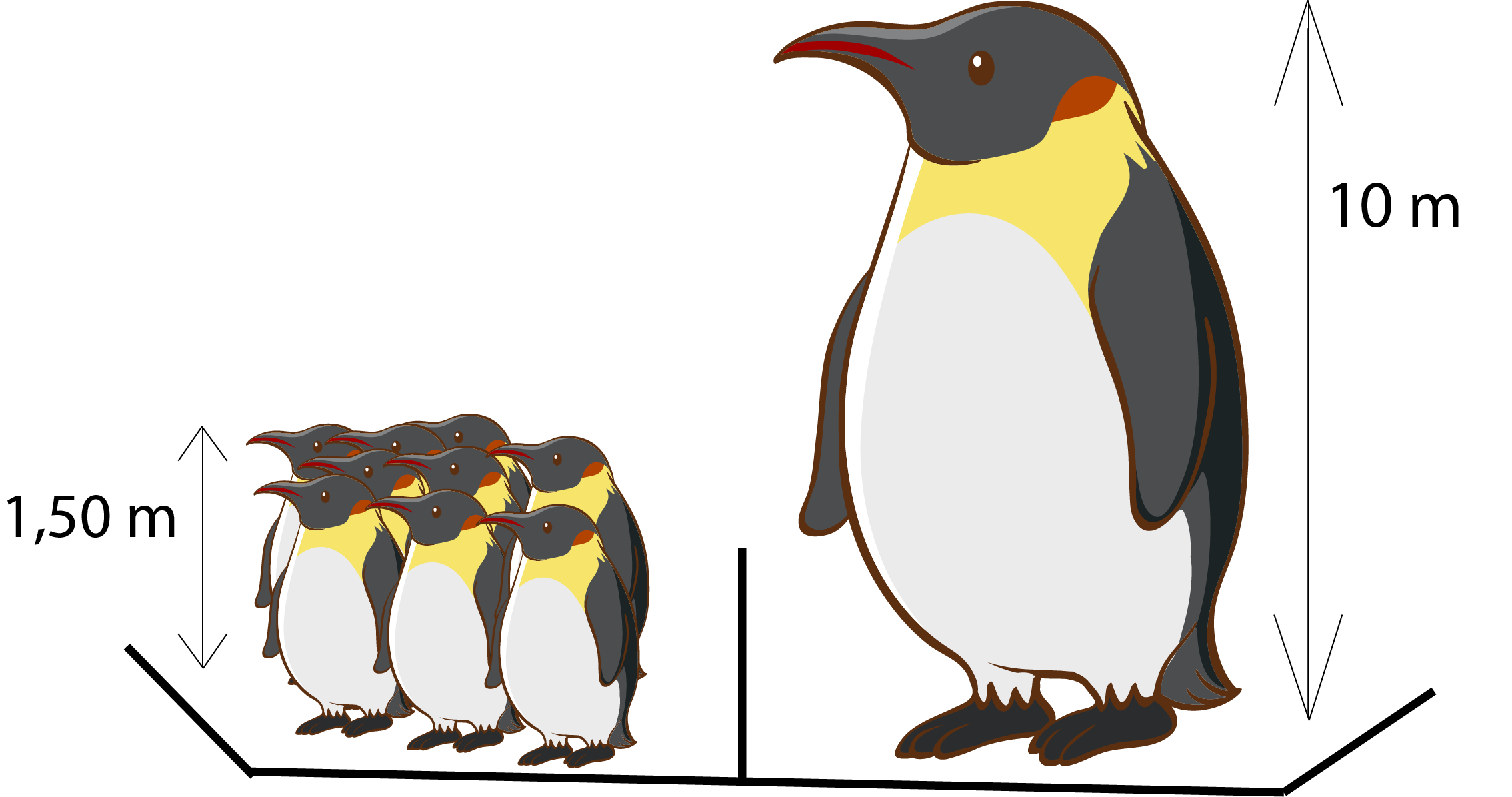 Plan du char des pingouins 
