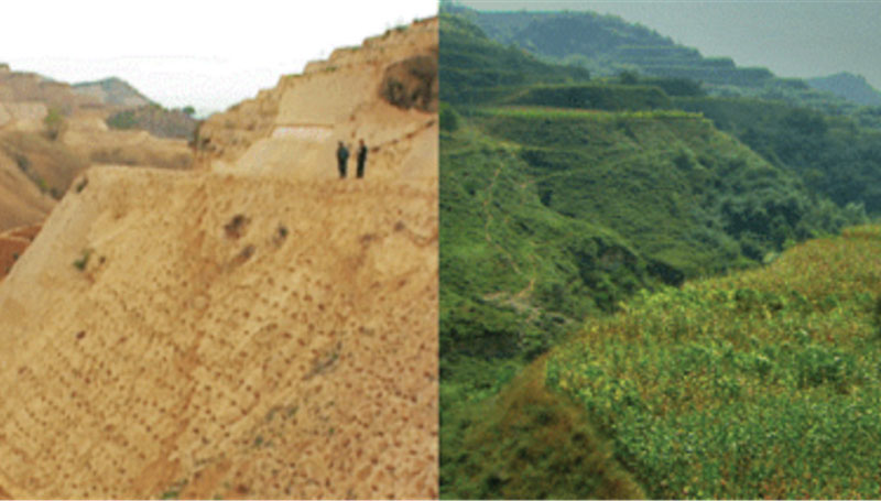 http://chine-ecologie.org/protection-de-l-environnement/terres-arables-boises/341-le-plateau-de-loes-le-plus-grand-projet-de-regeneration-environnementale-au-monde