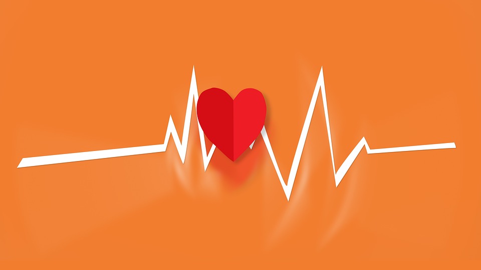 santé cardiaque © pixabay