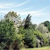 Jardin des Gazelles