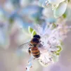 Anson Aswat - Unsplash