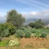 RCF / Véronique Alzieu - Permaculture à la ferme pédagogique en agriculture biologique Kissane