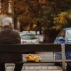 Unsplash