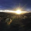 unsplash / mahyar motebassem