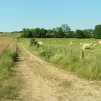 Le Mont Olivet dans le Revermont
