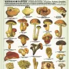 Eyrolles