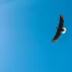 Photo by Rachel McDermott on Unsplash