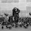 Personne sans-abri - Photo by Daniel van den Berg on Unsplash