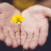 Photo Kari Shea Unsplash - "Dans la Bible, l'espérance naît à chaque fois que le sujet est au plus bas"