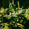 Eduard Gross / Unsplash