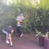 €oop'Ain, Coopérative Jeunesse Service