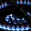 Le prix du gaz est en constante progression.