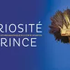 La curiosité d'un prince - Versailles