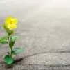 Derrière la porte...©