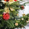 sapin de Noël - © Liviu C via Unsplash